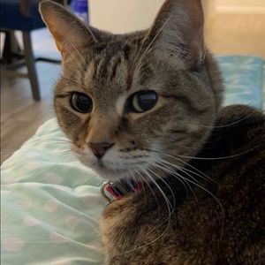 Meet your Posher, Sarah